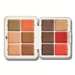 خرید پالت صورت چندکاره شیگلم