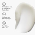 خرید THE ORDINARY Squalane + Amino Acids Lip Balm از آمازون امارات
