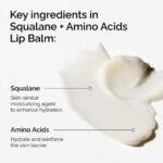 خرید THE ORDINARY Squalane + Amino Acids Lip Balm از آمازون امارات
