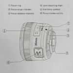 خرید YONGNUO YN35mm F2N Lens, 1:2 AF MF Wide-Angle از آمازون امارات