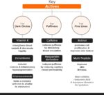 خرید Minimalist Eye Cream with Retinal & Peptides| Vitamin از آمازون امارات
