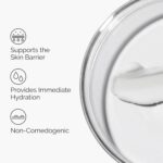 خرید The Ordinary Natural Moisturizing Factors plus HA - از آمازون امارات