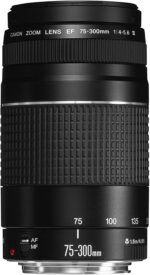 لنز تله فوتو کانن 75-300mm