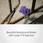 خرید Sony FE 50mm F1.8 Compact Lightweight E Mount از آمازون امارات
