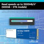 خرید Western Digital Store Western Digital 1TB WD Blue از آمازون امارات