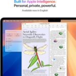 خرید Apple Store Apple 2025 MacBook Air (13-inch, از آمازون امارات