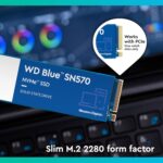 خرید Western Digital Store Western Digital 1TB WD Blue از آمازون امارات